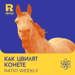 Ratio Podcast