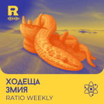 Ratio Podcast